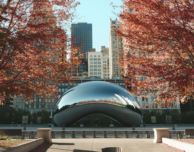 Chicago's The Bean surrounded by trees in the fall