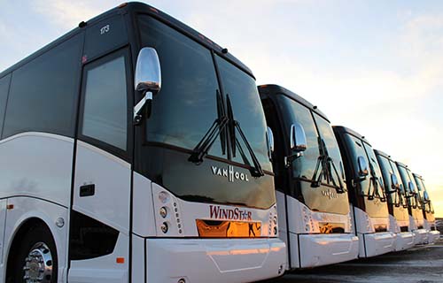 Lineup of Windstar buses in the sunset